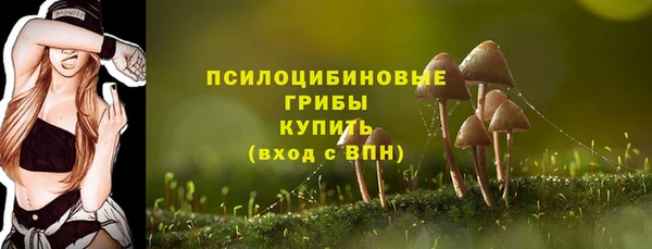 мдпв Усмань