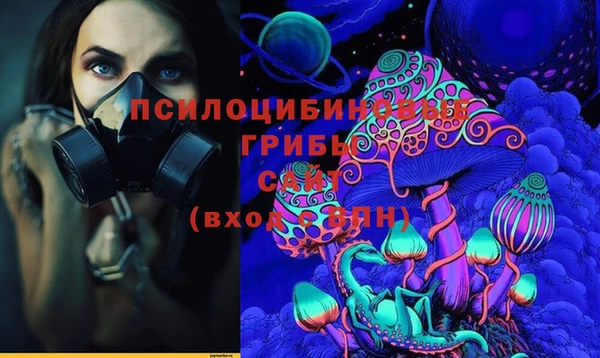 мдпв Усмань