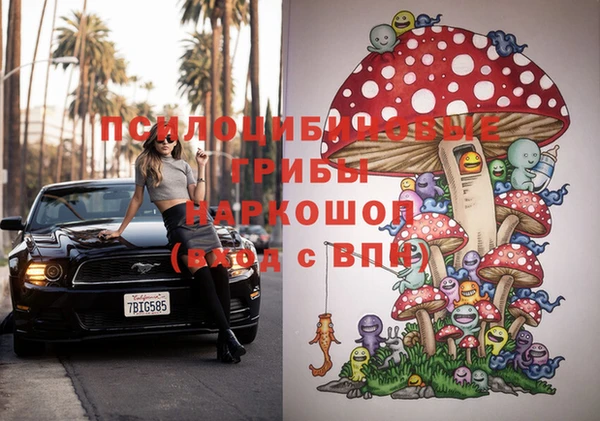 прущий лед Усинск