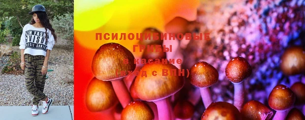 мдпв Усмань