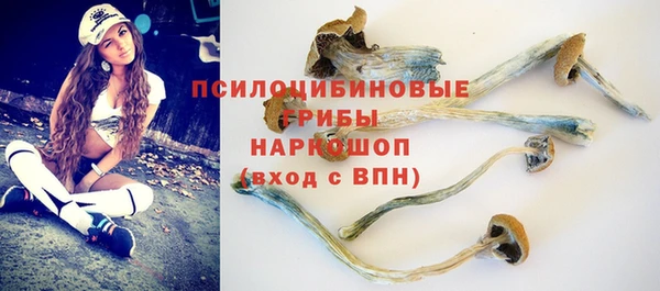 мдпв Усмань