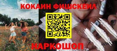 СК Гатчина