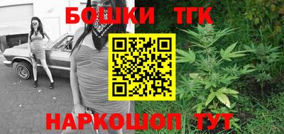 СК Гатчина