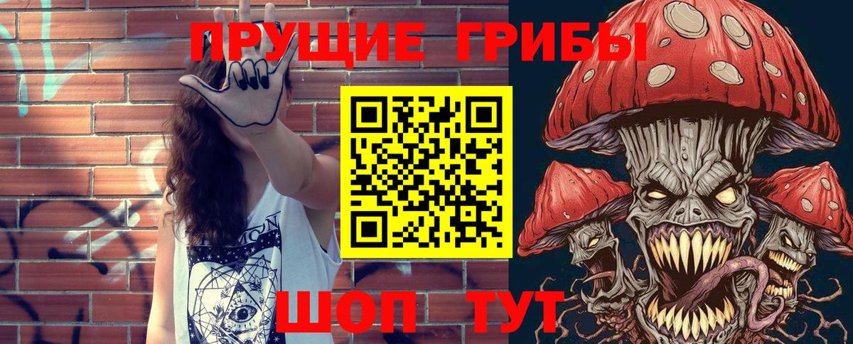 Галлюциногенные грибы Psilocybine cubensis Братск