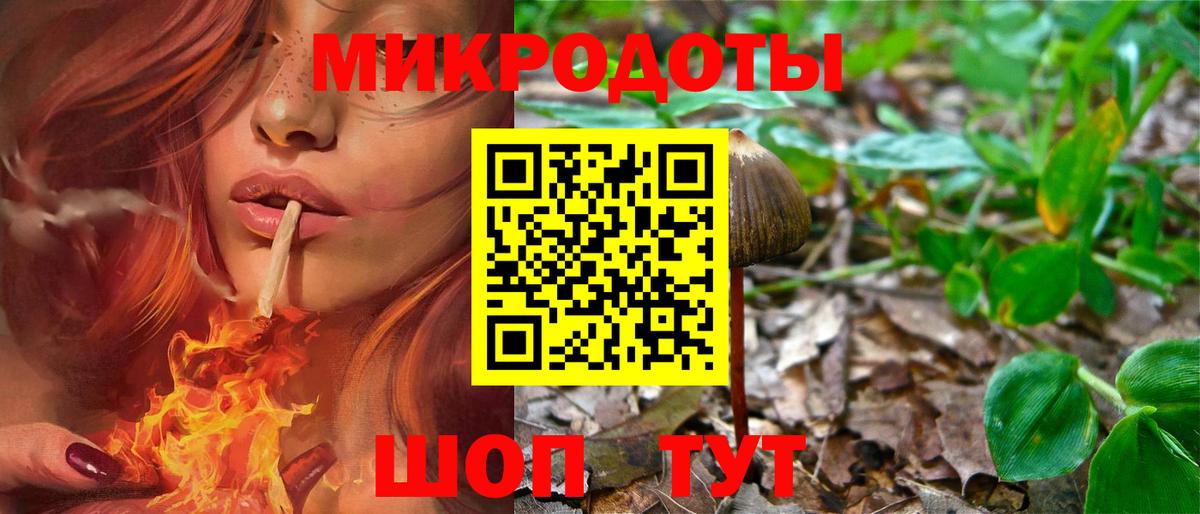 Псилоцибиновые грибы Magic Shrooms  Вход с VPN  Братск 