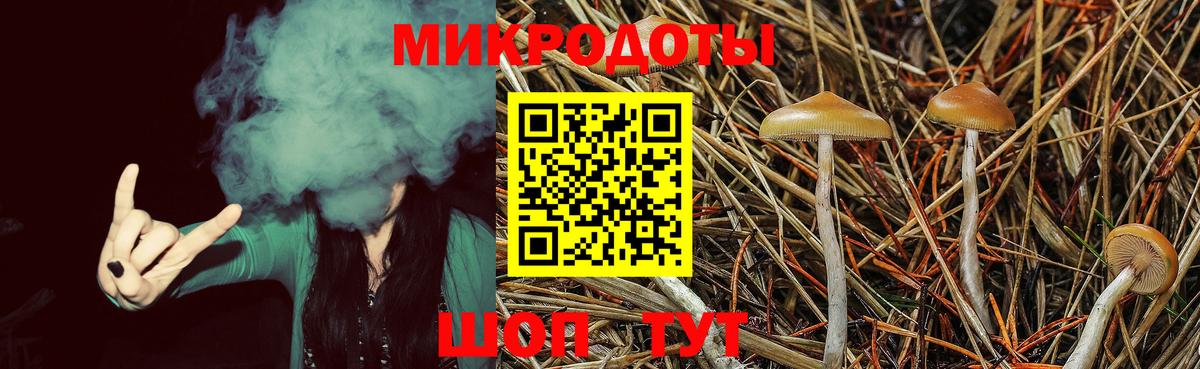 Псилоцибиновые грибы Psilocybe Братск