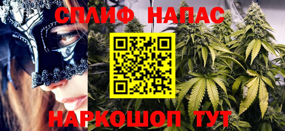 Бошки марихуана сатива Братск